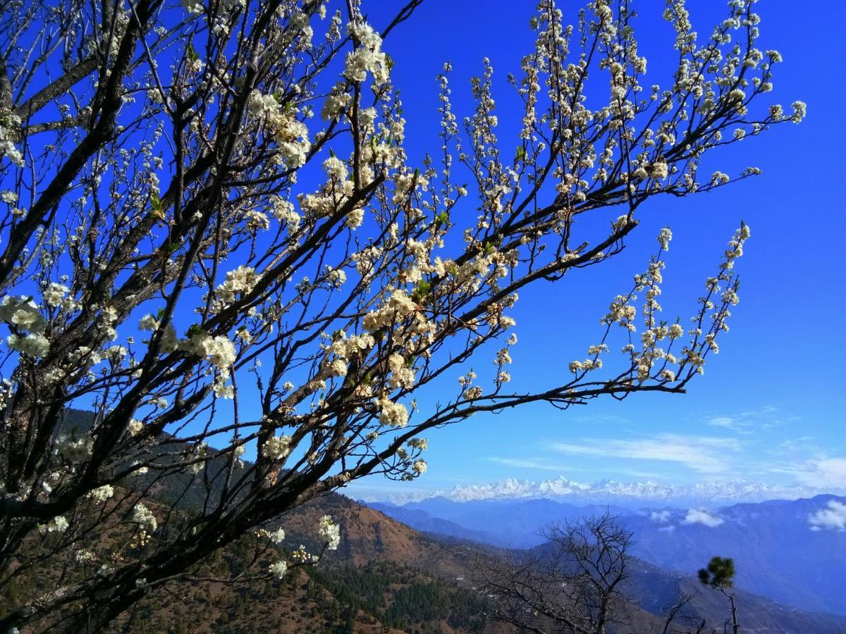 In Apple Estate Kanatal - Himalayan View Resort With Courteous Staff Eksteriør billede