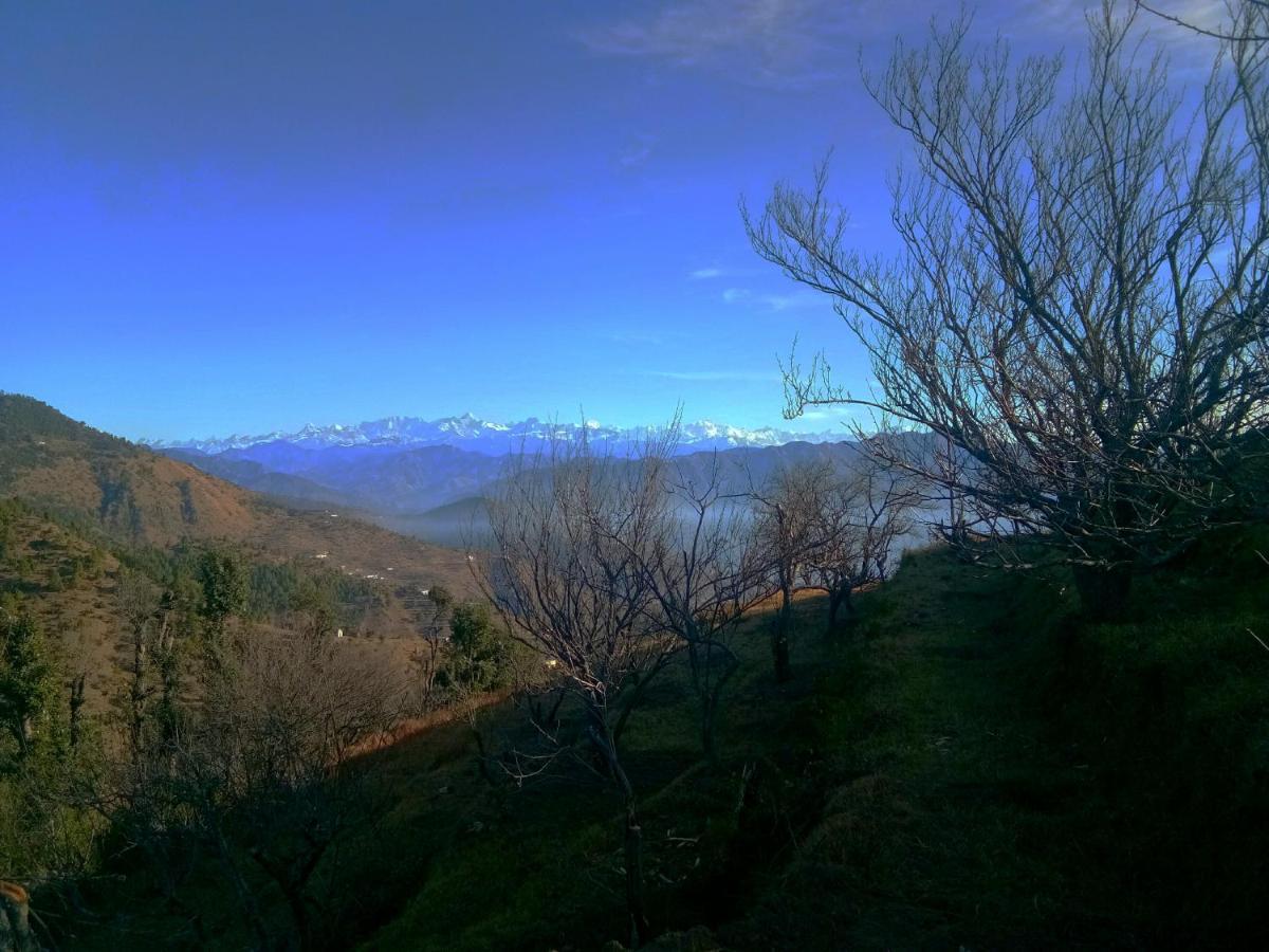 In Apple Estate Kanatal - Himalayan View Resort With Courteous Staff Eksteriør billede