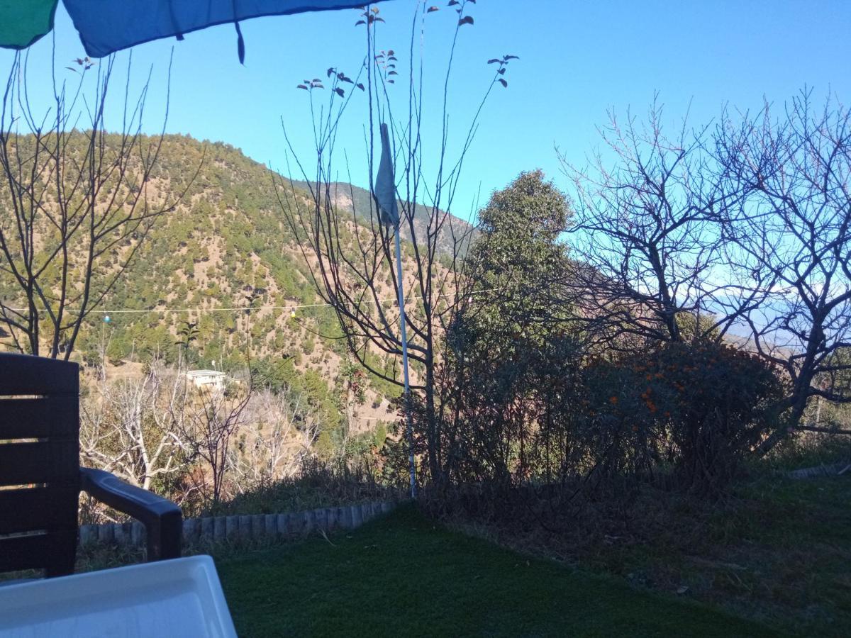 In Apple Estate Kanatal - Himalayan View Resort With Courteous Staff Eksteriør billede